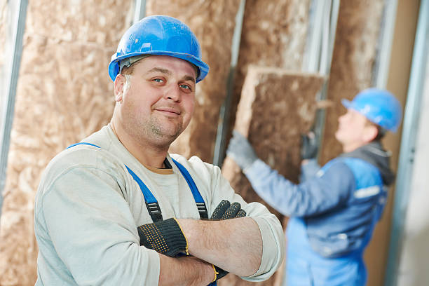 Best Residential Insulation in Riva, MD