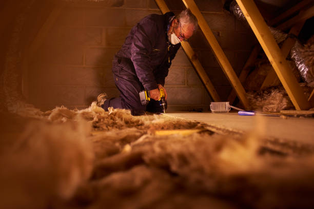 Types of Insulation We Offer in MD