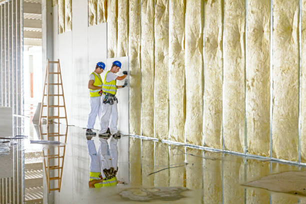 Best Insulation Maintenance and Repair in Riva, MD